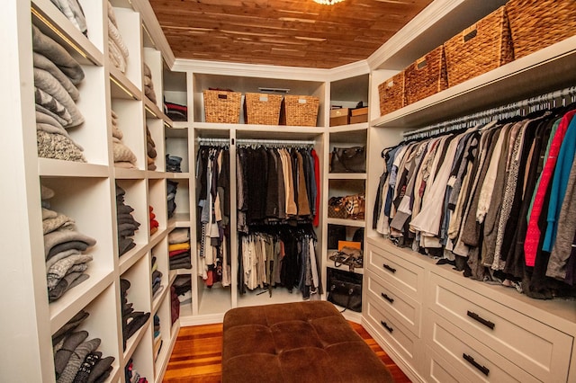 spacious closet featuring wood-type flooring