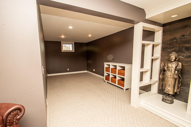 basement featuring carpet floors