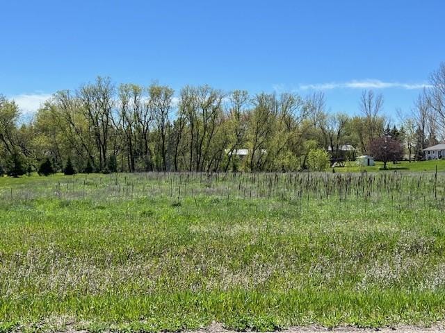 Listing photo 3 for LOT18 Alum Trl, Birchdale Twp MN 56336