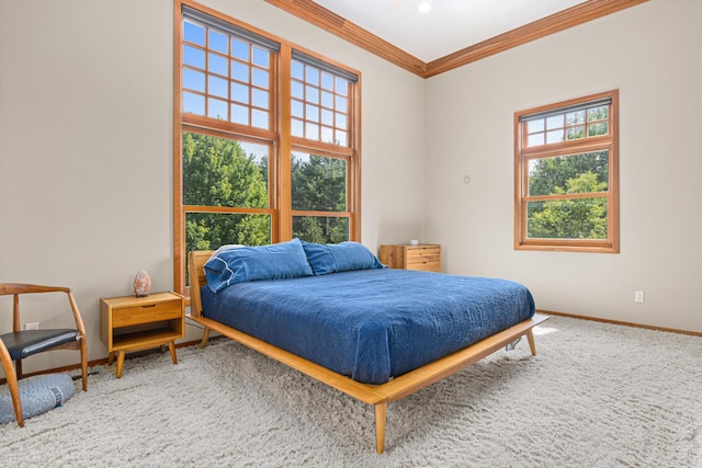 bedroom featuring ornamental molding