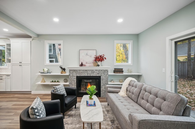 living room featuring a fireplace and light hardwood / wood-style flooring