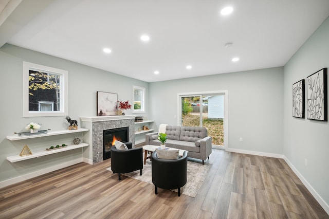 living room featuring a fireplace and light hardwood / wood-style floors