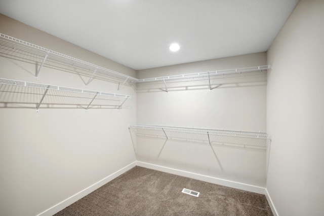 spacious closet with carpet floors