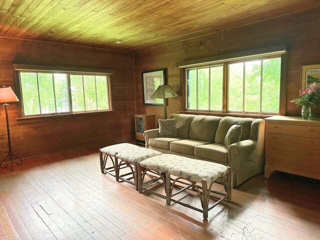 2799 27th St Unit 14, Gardeners, Birchwood, WI 54817 - living area with wood ceiling, hardwood / wood-style floors, plenty of natural light, and wooden walls