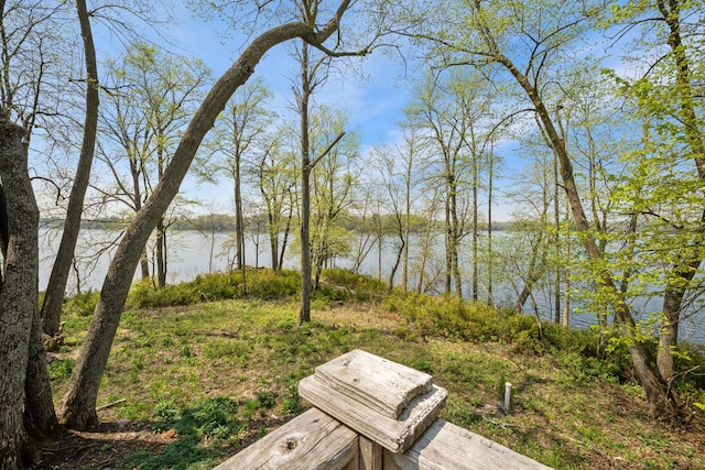 2799 27th St Unit 8, Katherine, Birchwood, WI 54817 - view of yard featuring a water view