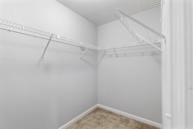 spacious closet with carpet floors