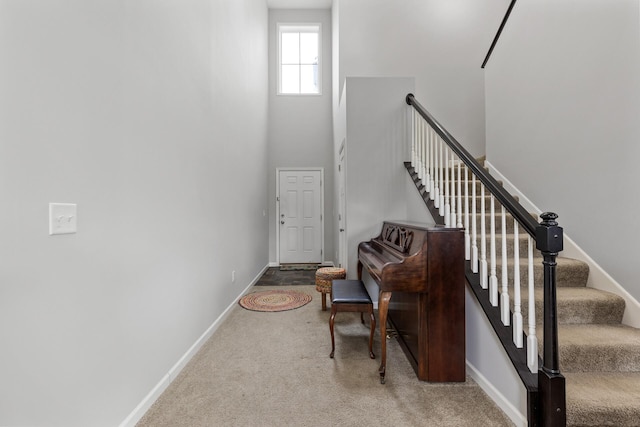 entrance foyer with carpet