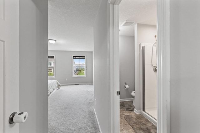 hall featuring light carpet and a textured ceiling