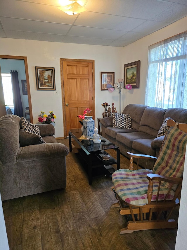 living room featuring dark hardwood / wood-style flooring and plenty of natural light