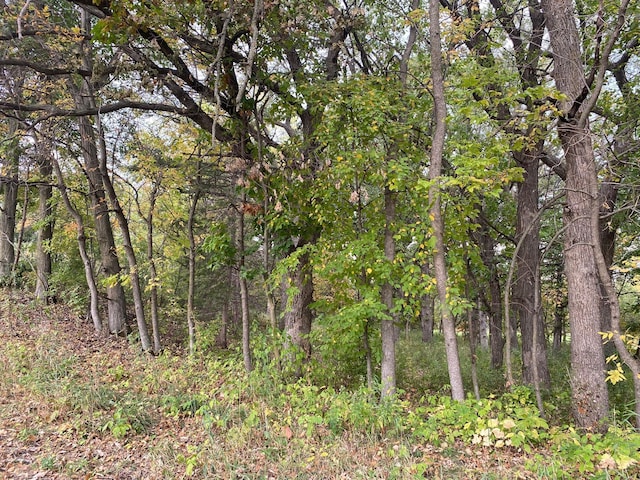8071 70th St W, Lonsdale, MN 55046