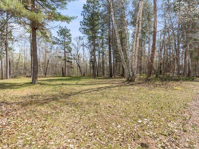 Listing photo 3 for 000 Violet Ln, Breezy Point MN 56472