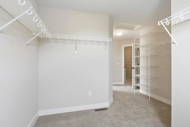 spacious closet with carpet floors