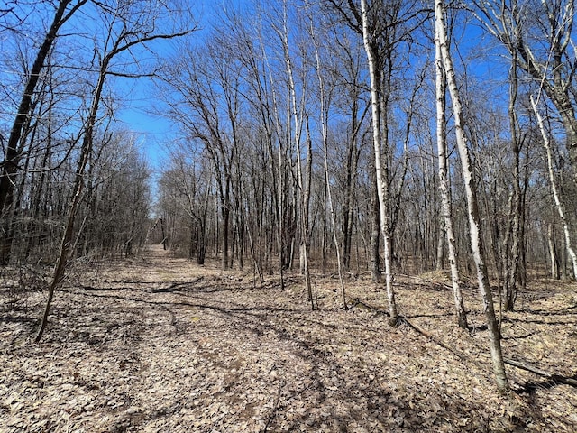 Listing photo 2 for TBD Highway I Road, Minong WI 54859