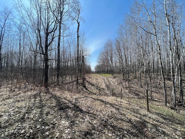 Listing photo 3 for TBD Gulley Road, Maple WI 54854