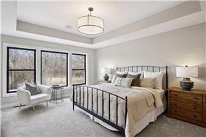 carpeted bedroom featuring multiple windows and a raised ceiling