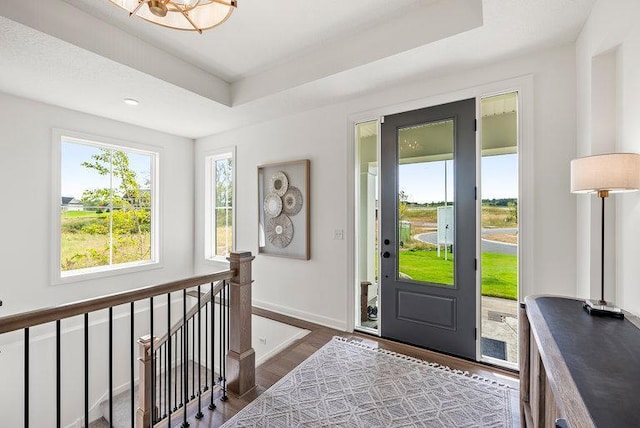 entryway featuring dark hardwood / wood-style flooring and a raised ceiling