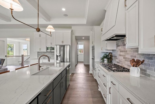 kitchen featuring appliances with stainless steel finishes, premium range hood, dark hardwood / wood-style flooring, and a healthy amount of sunlight