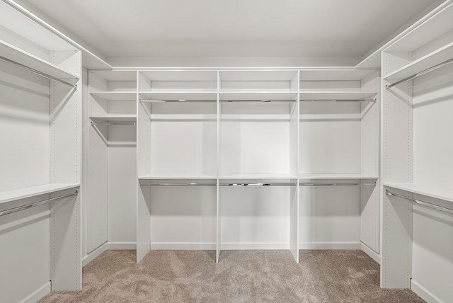 walk in closet featuring carpet