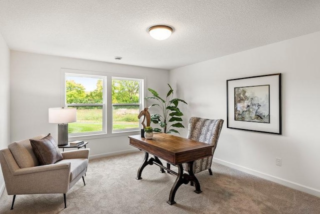 office area featuring a textured ceiling and carpet flooring