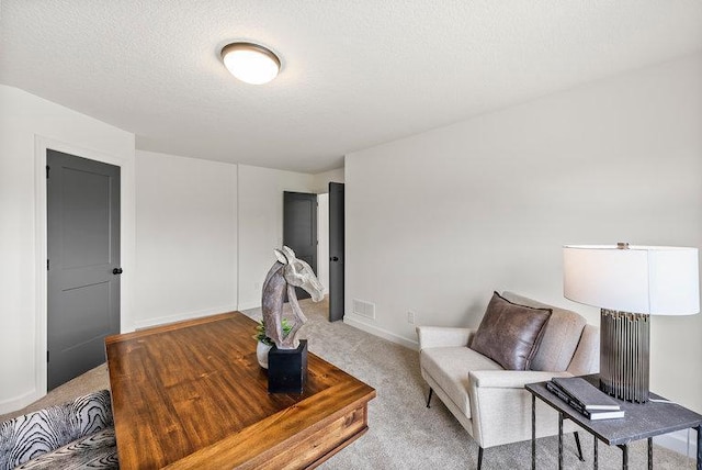 living room with carpet and a textured ceiling