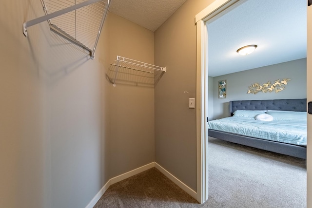 spacious closet with carpet flooring