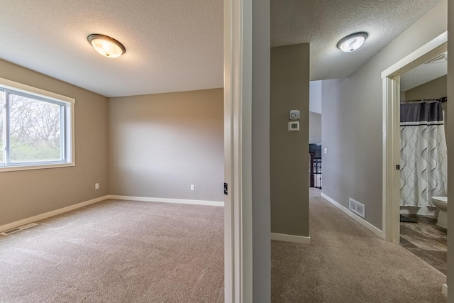 interior space featuring light carpet and a textured ceiling