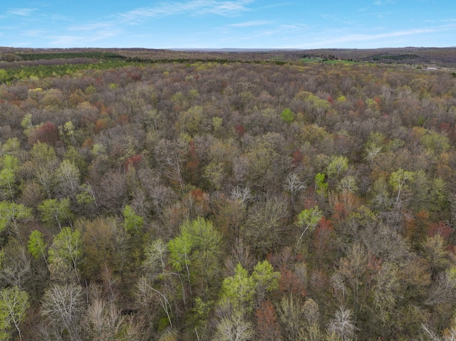 LOT3 11th Ave, Chetek, WI 54728