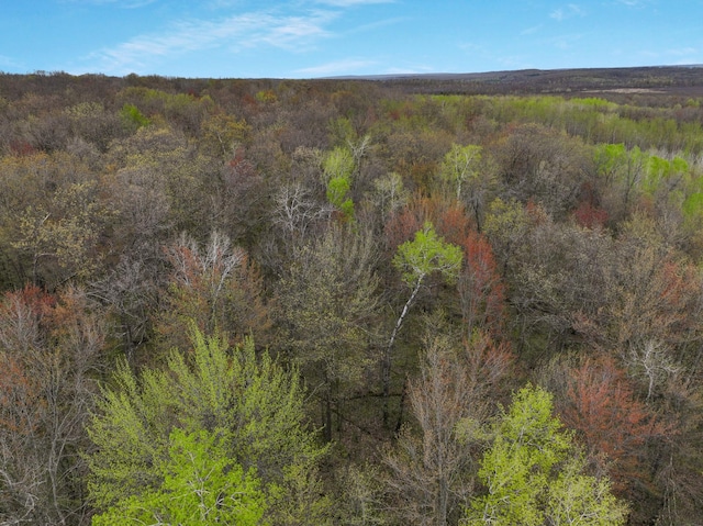 LOT3 11th Ave, Chetek, WI 54728
