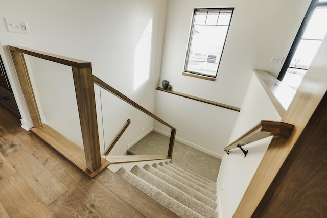 stairway with carpet floors