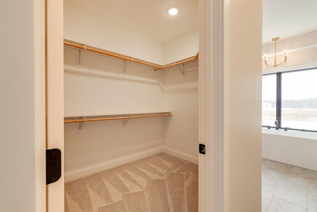 spacious closet with light colored carpet