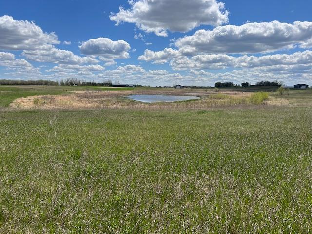 XXXX2 443rd St, Perham MN, 56573 land for sale