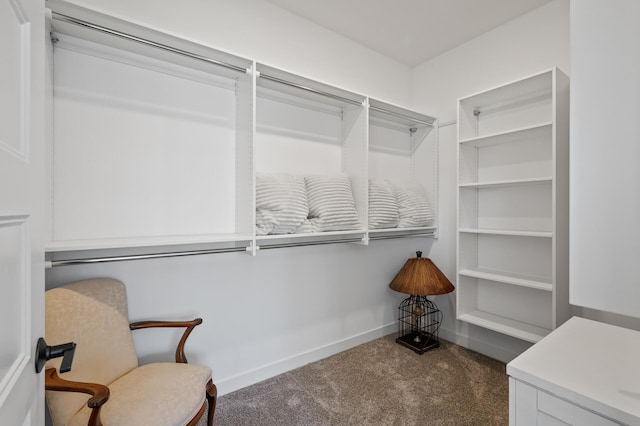 spacious closet with dark colored carpet