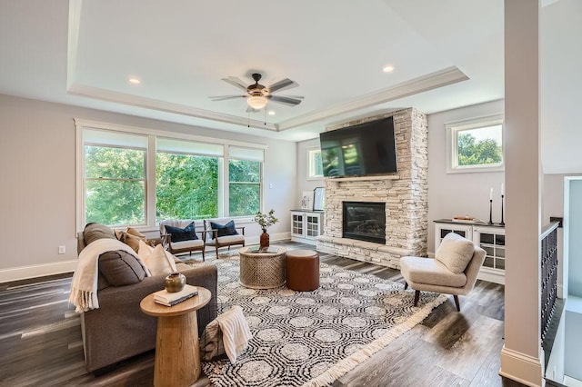 living area with dark wood-style floors, baseboards, a raised ceiling, and a stone fireplace