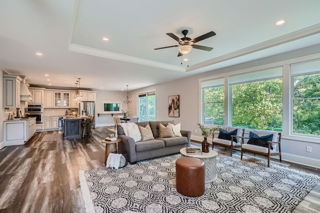 living area featuring baseboards, a raised ceiling, wood finished floors, and recessed lighting