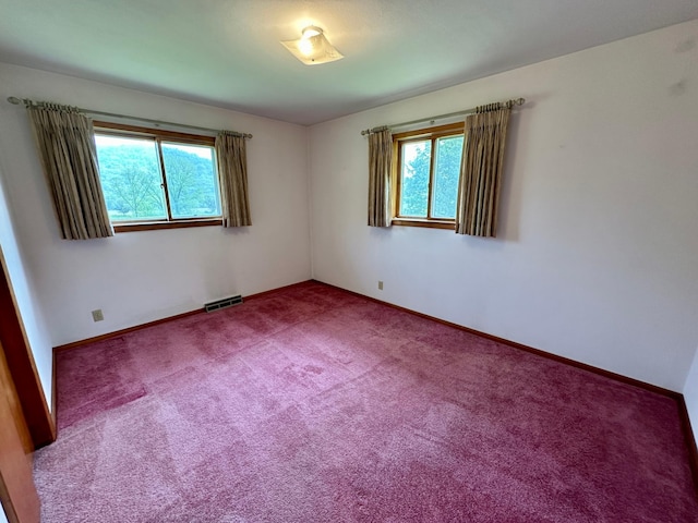 unfurnished room featuring carpet floors and plenty of natural light