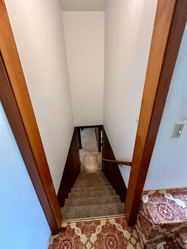 staircase featuring carpet floors