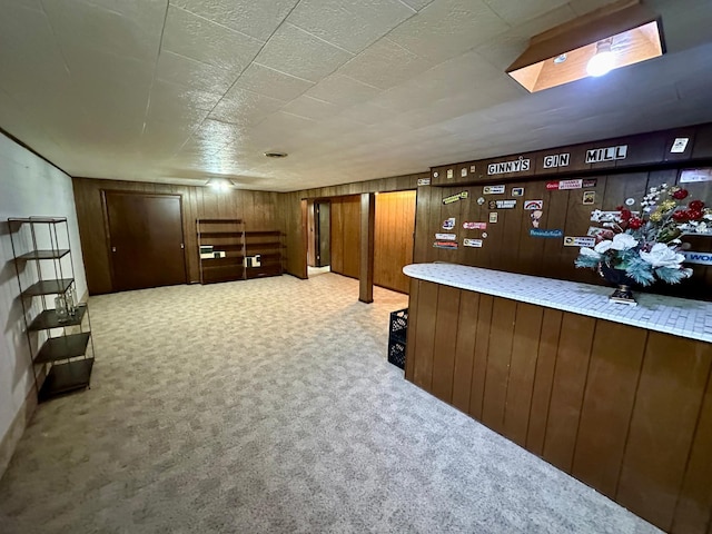 interior space featuring carpet flooring and wood walls