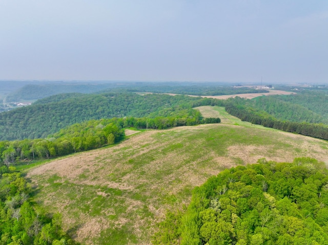 view of bird's eye view