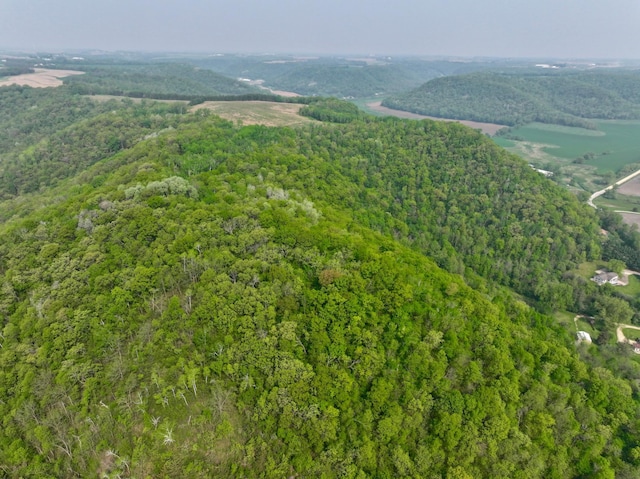 view of drone / aerial view