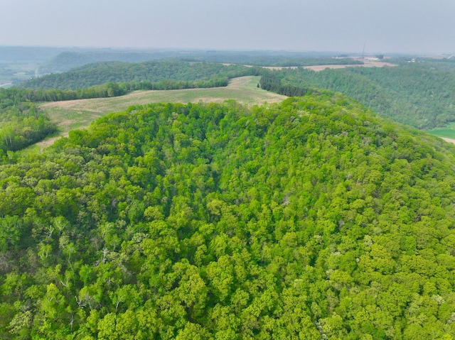 view of aerial view