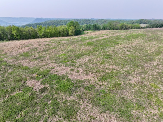 view of local wilderness featuring a rural view