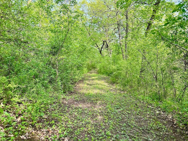 view of nature