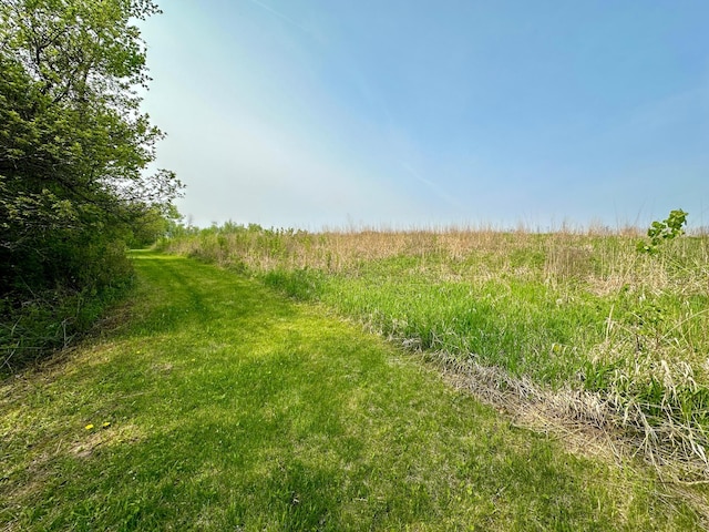 view of local wilderness featuring a rural view