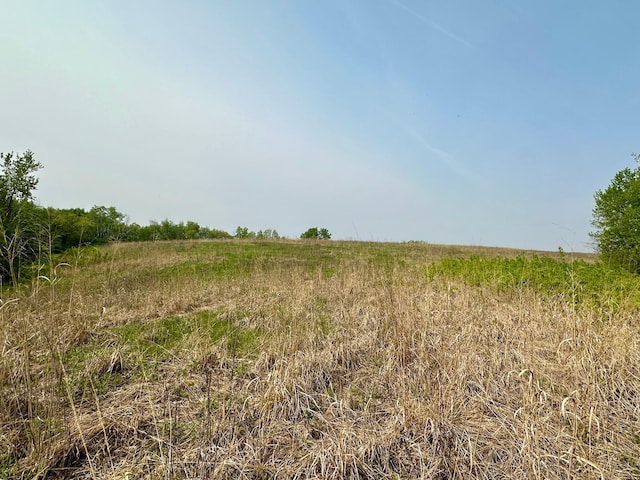 view of local wilderness with a rural view