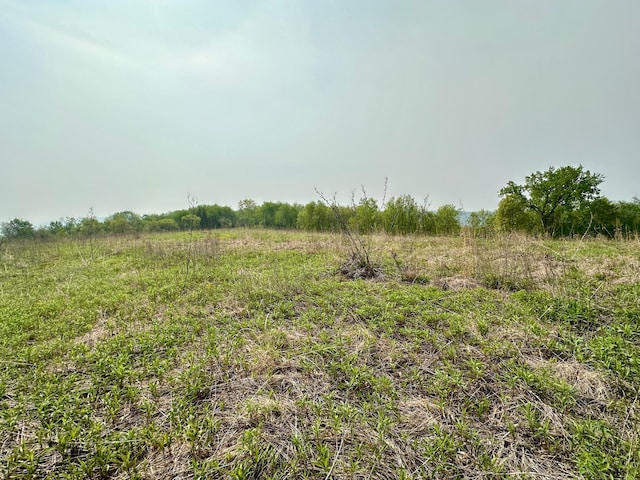 view of local wilderness with a rural view