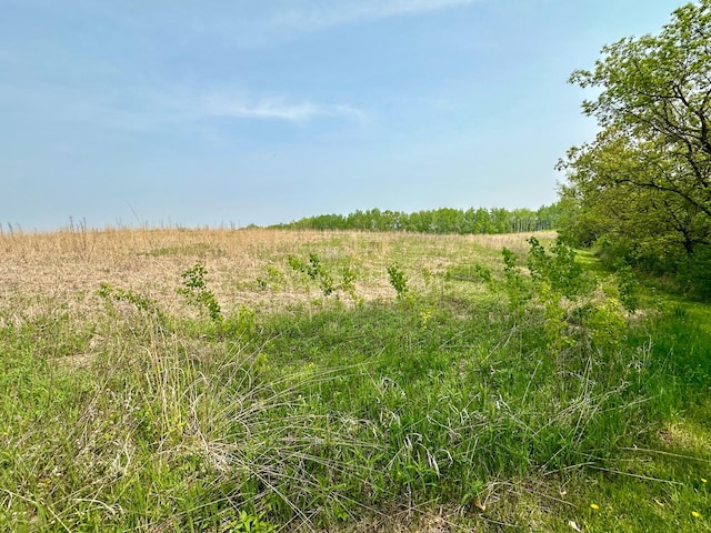 view of local wilderness featuring a rural view