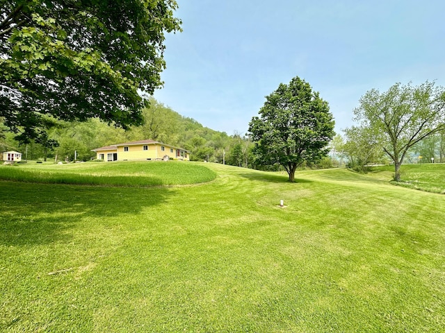 view of property's community with a lawn