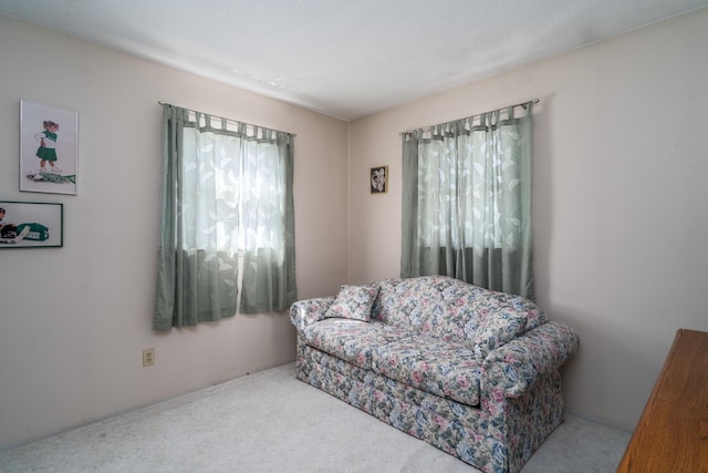 sitting room with carpet flooring and plenty of natural light