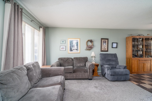 living room featuring carpet and a textured ceiling