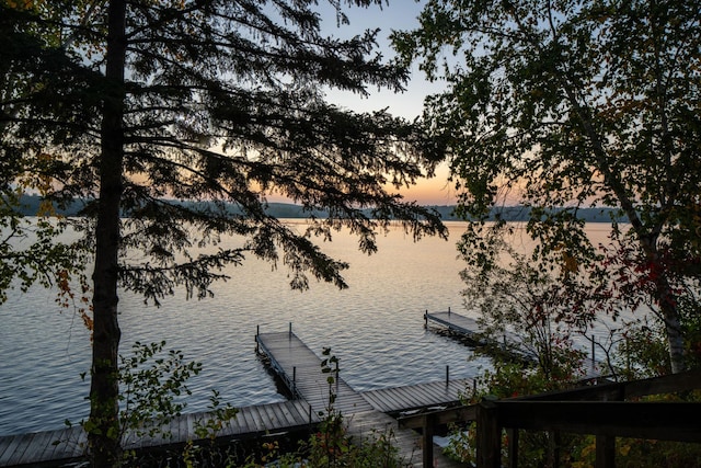 property view of water featuring a boat dock